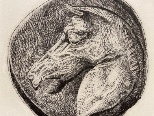 Pecunia non olet Stone Printing Engraving on Paper