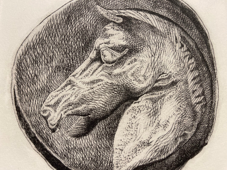 Pecunia non olet Stone Printing Engraving on Paper