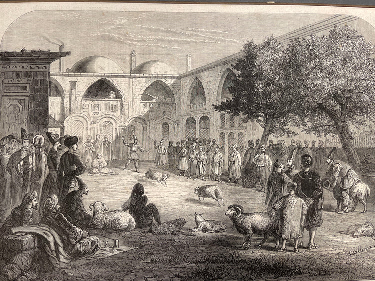 Ram Fight at Acem Inn - London News Newspaper clipping (1866)