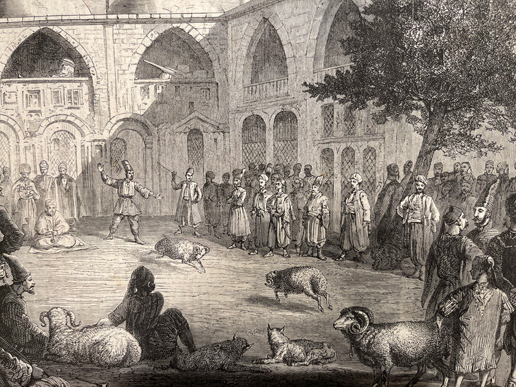 Ram Fight at Acem Inn - London News Newspaper clipping (1866)