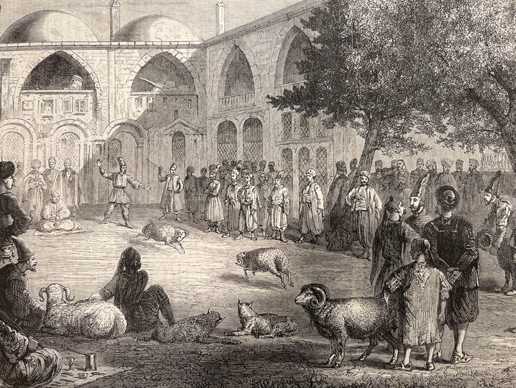 Antique Sketch - Constantinople Ram Fighting Persian Khan Istanbul 1866